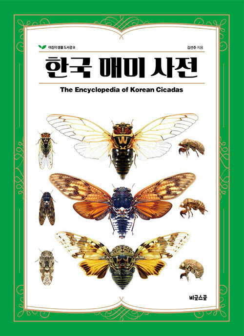 한국 매미 사전