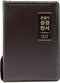 [다크브라운] 큰글자 성경전서 개역개정 새찬송가 NKR72WBU - 중(中).합본.색인