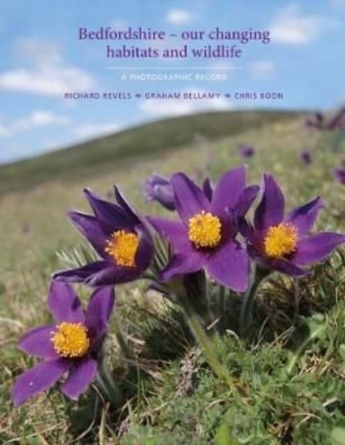 Bedfordshire - our changing habitats and wildlife : A photographic record (Hardcover)