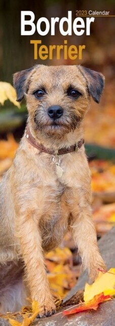 Border Terrier 2023 Slim Calendar (Calendar)