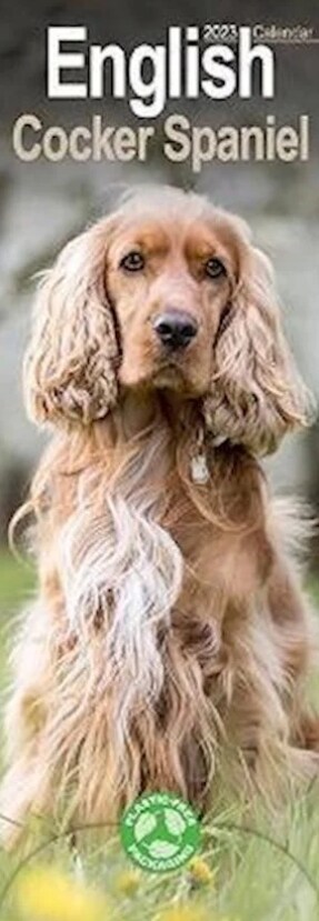 English Cocker Spaniel 2023 Slim Calendar (Calendar)