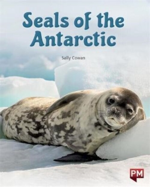 SEALS OF THE ANTARTIC (Paperback)