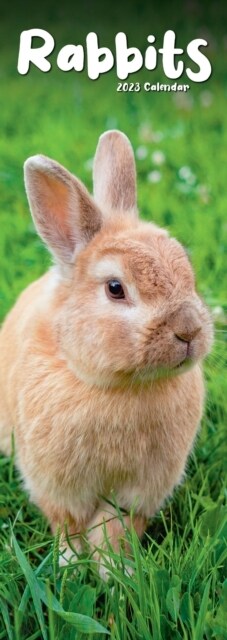 Rabbits 2023 Slim Calendar (Calendar)