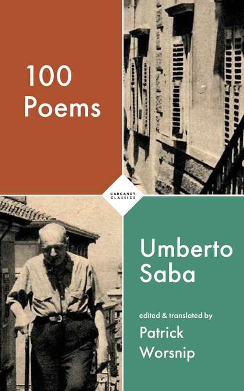 100 Poems (Paperback)