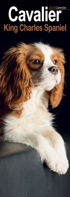 Cavalier King Charles Spaniel 2023 Slim Calendar (Calendar)