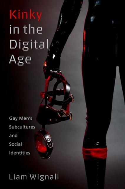 Kinky in the Digital Age: Gay Mens Subcultures and Social Identities (Paperback)