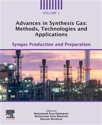 Advances in Synthesis Gas: Methods, Technologies and Applications: Syngas Production and Preparation (Paperback)