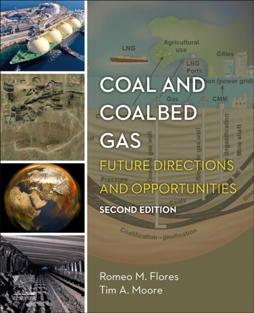 Coal and Coalbed Gas: Future Directions and Opportunities (Paperback, 2)