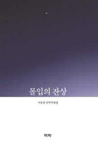 몰입의 잔상 커버