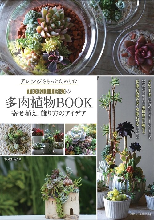アレンジをもっとたのしむ TOKIIROの多肉植物BOOK 寄せ植え、飾り方のアイデア (コツがわかる本!)