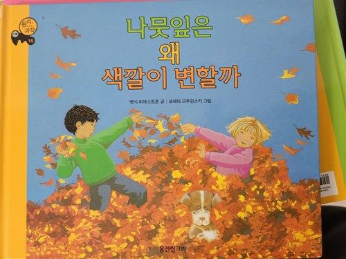 [중고] 나뭇잎은 왜 색깔이 변할까