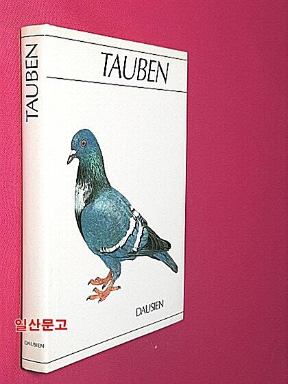 [중고] Tauben Hardcover (Hardcover)