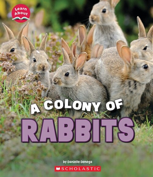 A Colony of Rabbits (Learn About: Animals) (Hardcover)