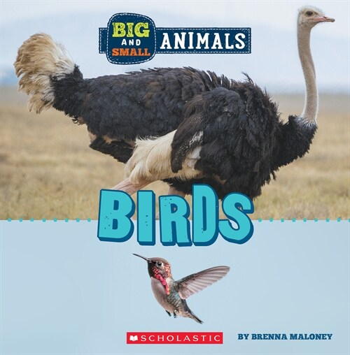 Birds (Wild World: Big and Small Animals) (Hardcover)