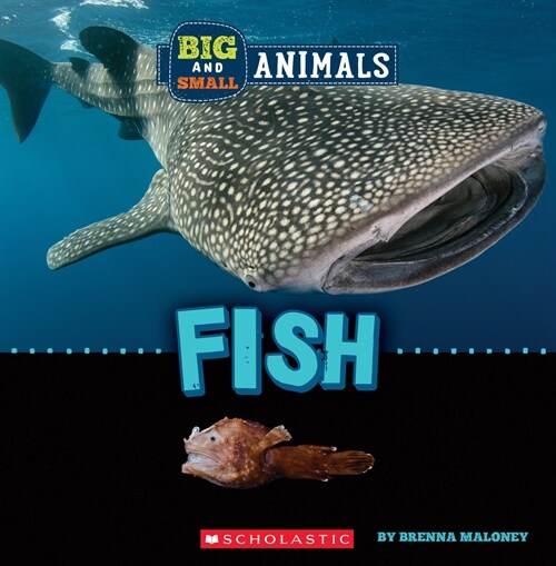 Fish (Wild World: Big and Small Animals) (Hardcover)
