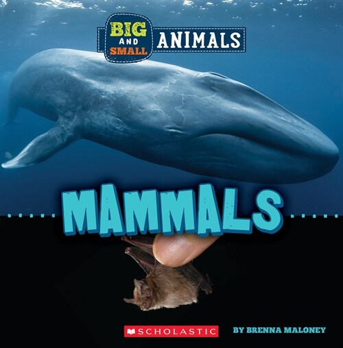 Mammals (Wild World: Big and Small Animals) (Hardcover)
