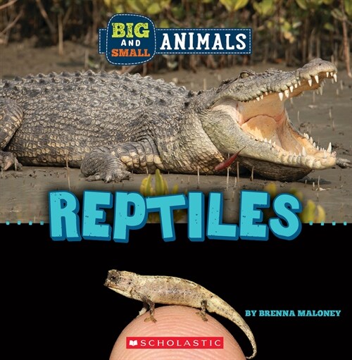 [중고] Reptiles (Wild World: Big and Small Animals) (Paperback)
