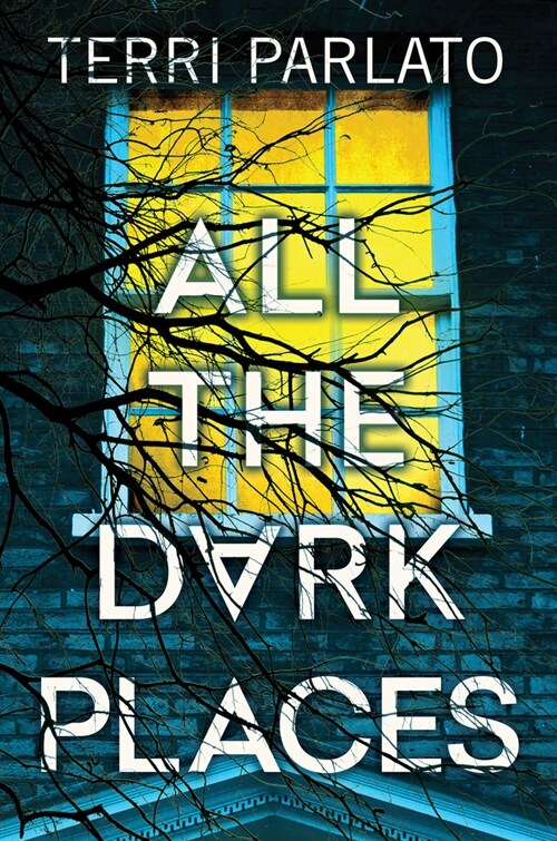 All the Dark Places: A Riveting Novel of Suspense with a Shocking Twist (Hardcover)