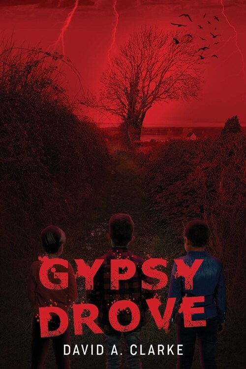 Gypsy Drove (Paperback)