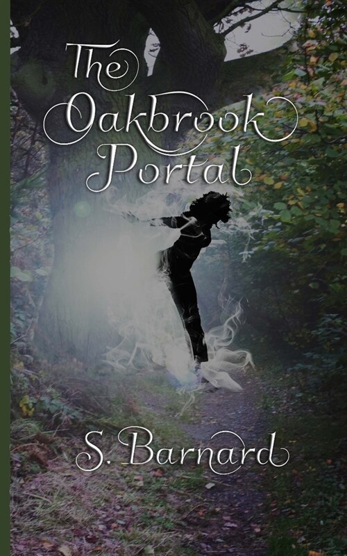 The Oakbrook Portal (Paperback)