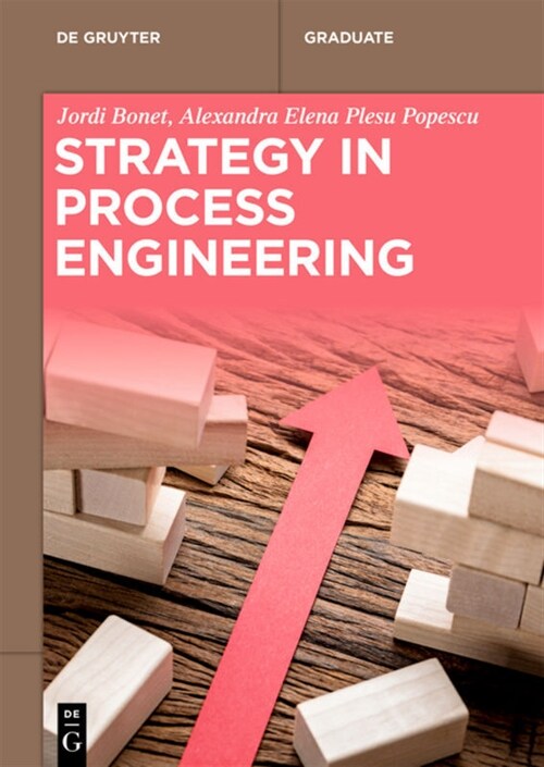 Strategy in Process Engineering (Paperback)