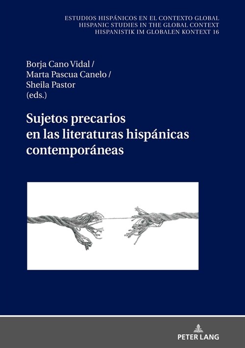 Sujetos Precarios En Las Literaturas Hisp?icas Contempor?eas (Hardcover)