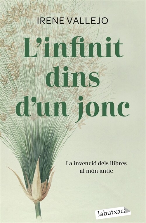 LINFINIT DINS DUN JONC (Paperback)