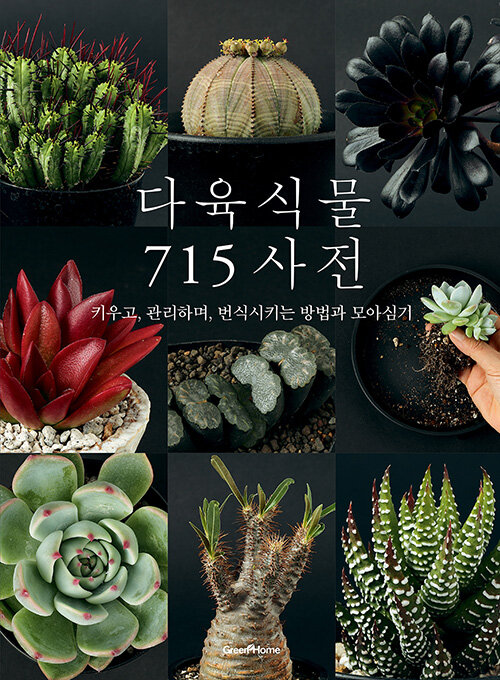 [중고] 다육식물 715 사전