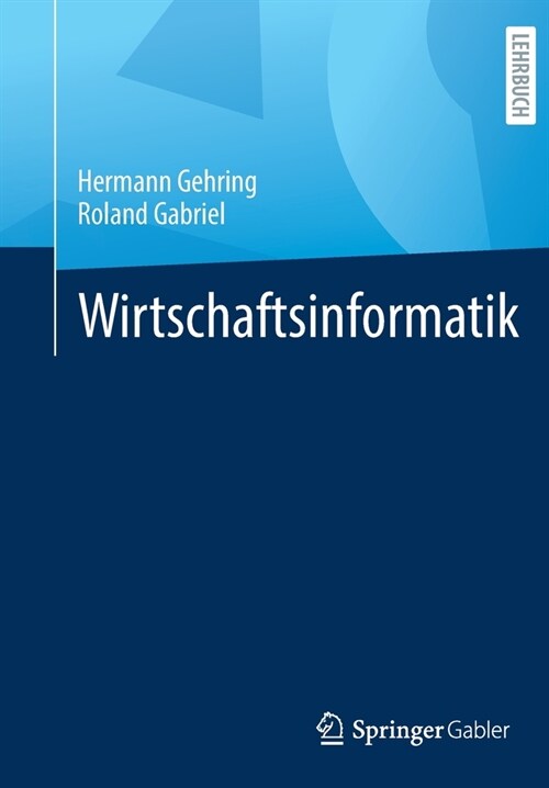 Wirtschaftsinformatik (Paperback)