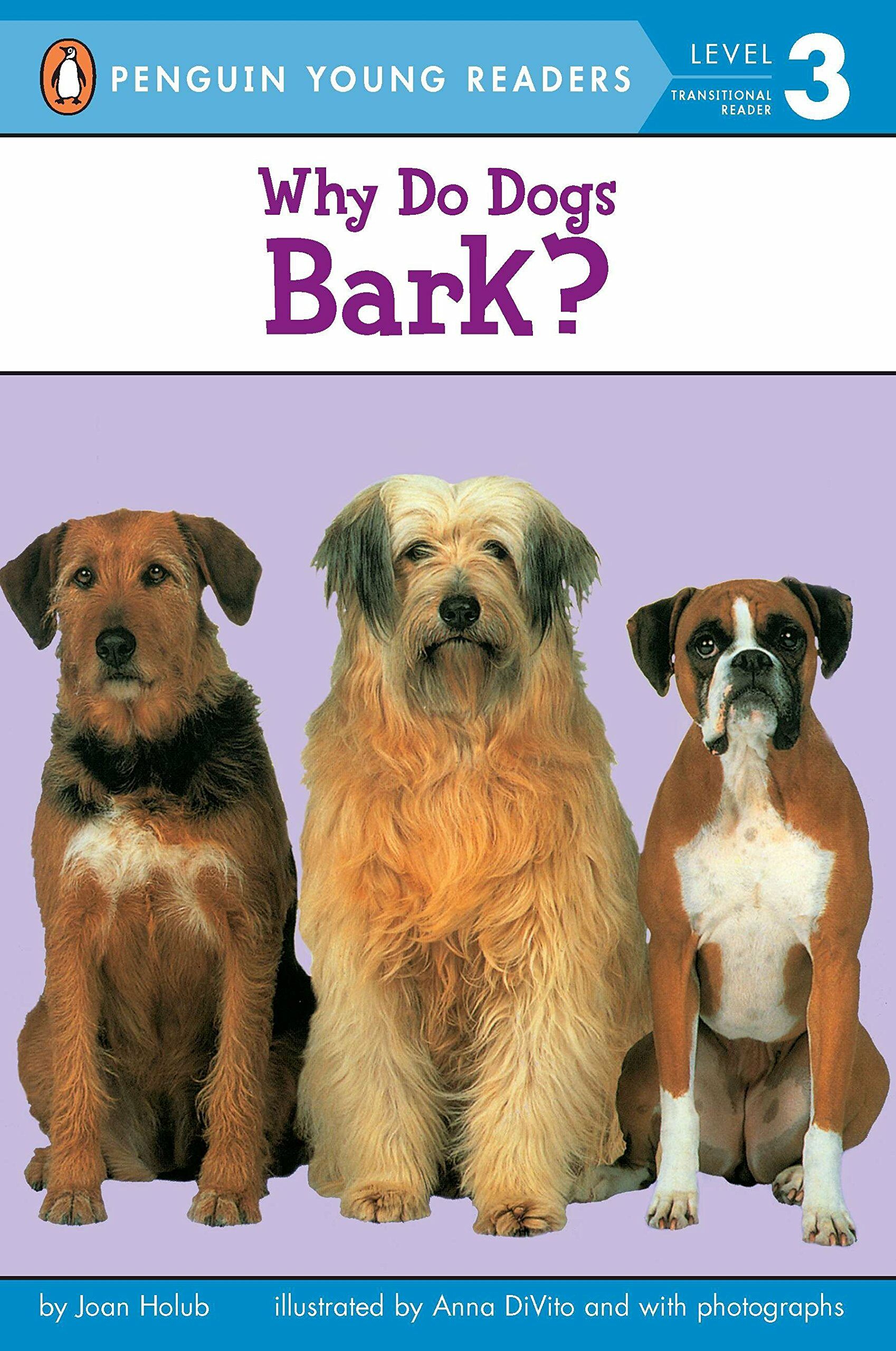 Why Do Dogs Bark? (Paperback)