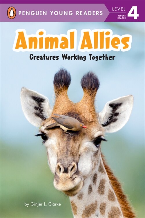 Animal Allies: Creatures Working Together (Hardcover)