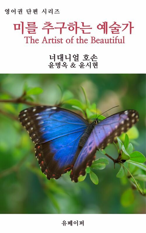 미를 추구하는 예술가 (개정판)