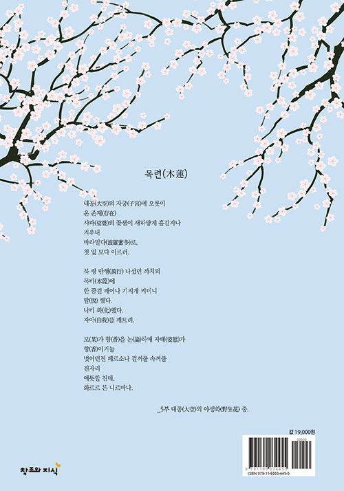 잃어버린 꿈에 피는 꽃 : 알라딘