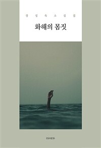 화해의 몸짓 :장성욱 소설집 