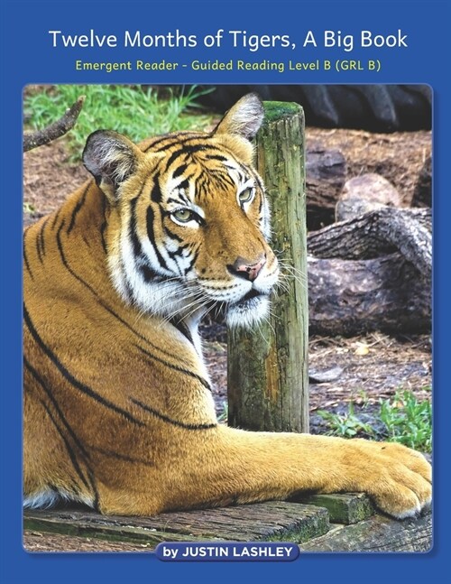 Twelve Months of Tigers, A Big Book: Emergent Reader - Guided Reading Level B (GRL B) (Paperback)