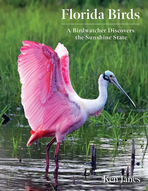 Florida Birds: A Birdwatcher Discovers the Sunshine State (Paperback)