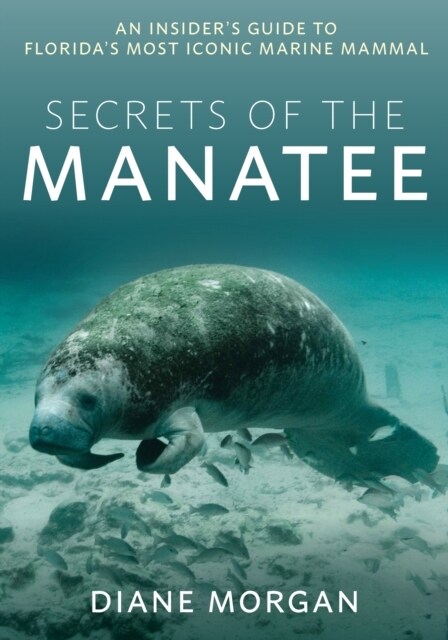 Secrets of the Manatee: An Insiders Guide to Floridas Most Iconic Marine Mammal (Paperback)