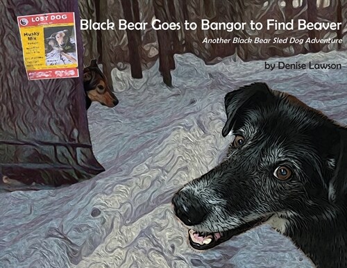 Black Bear Goes to Bangor to Find Beaver: Another Black Bear Sled Dog Adventure (Paperback)