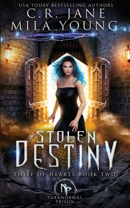 Stolen Destiny: Paranormal Romance (Paperback)