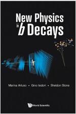 New Physics in B Decays (Hardcover)