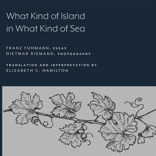 What Kind of Island in What Kind of Sea? (Paperback)