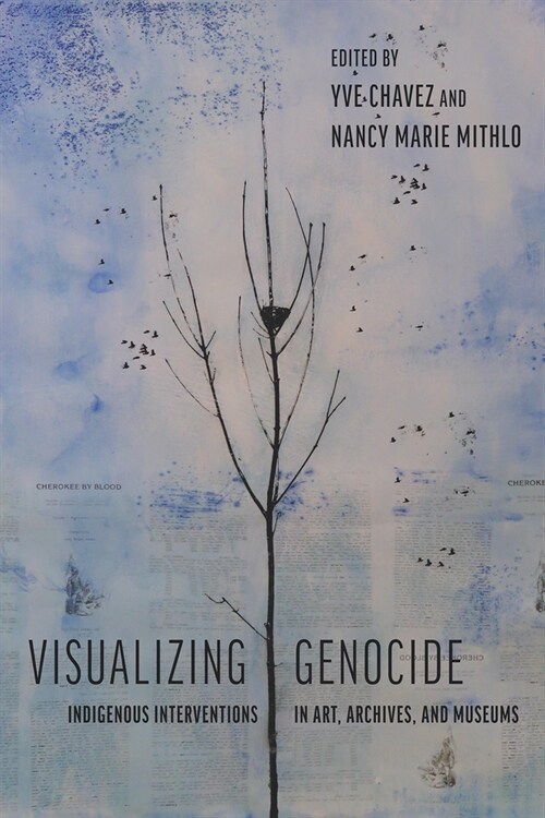 Visualizing Genocide: Indigenous Interventions in Art, Archives, and Museums (Hardcover)