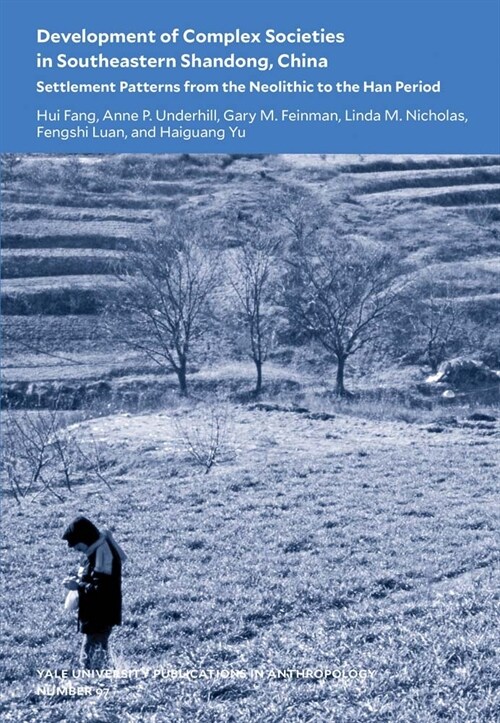 Development of Complex Societies in Southeastern Shandong, China: Settlement Patterns from the Neolithic to the Han Period Volume 97 (Paperback)
