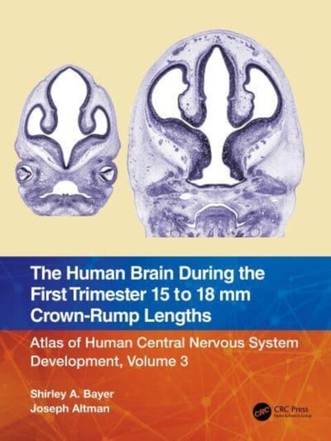 The Human Brain during the First Trimester 15- to 18-mm Crown-Rump Lengths : Atlas of Human Central Nervous System Development, Volume 3 (Hardcover)
