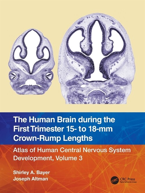 The Human Brain during the First Trimester 15- to 18-mm Crown-Rump Lengths : Atlas of Human Central Nervous System Development, Volume 3 (Paperback)