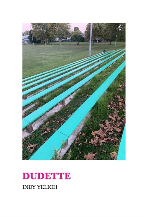 Dudette (Paperback)