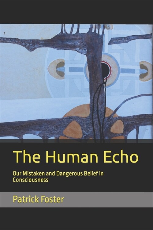 The Human Echo: Our Mistaken and Dangerous Belief in Consciousness (Paperback)