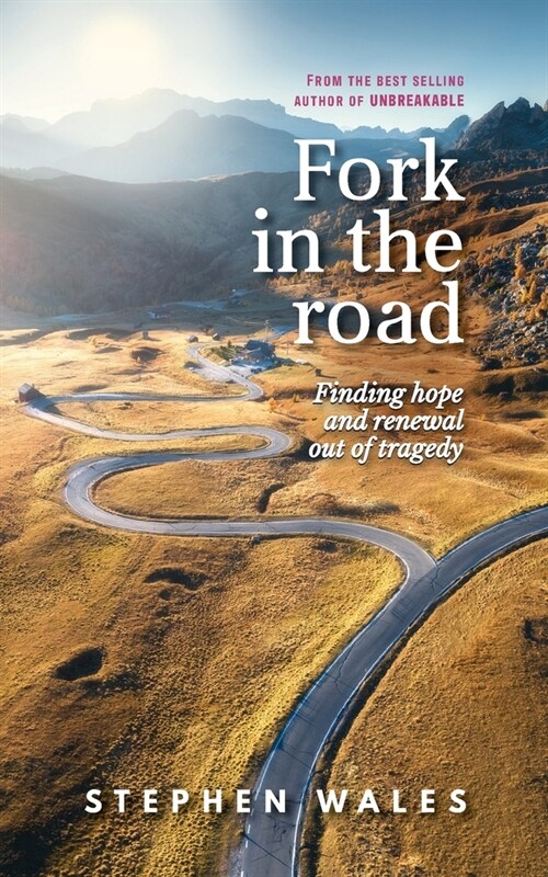 Fork in the road (Paperback)