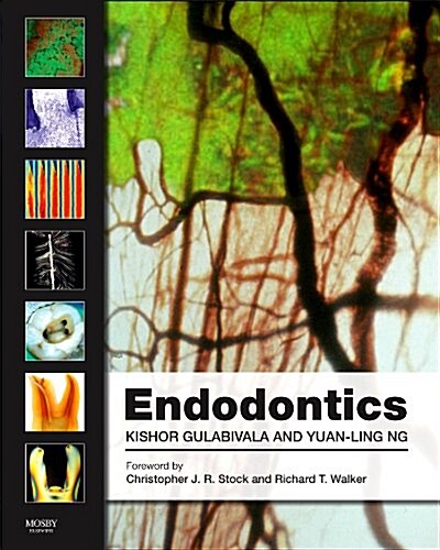 Endodontics (Hardcover, 4 Revised edition)