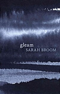 Gleam (Paperback)